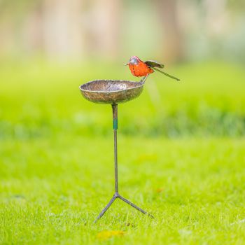 Roodborst waterschaal op driepoot